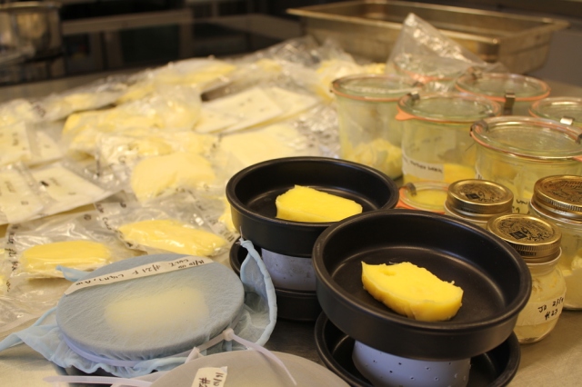 Figure 1. Butter samples using various, sometimes improvised, techniques to control the conditions they were exposed to.
